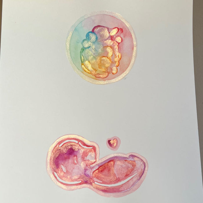 Embryo and Baby Scan Art