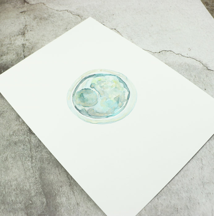 Single Embryo Art