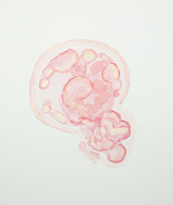 Single Embryo Art