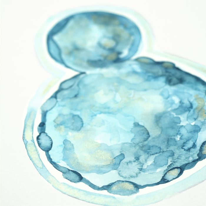Single Embryo Art