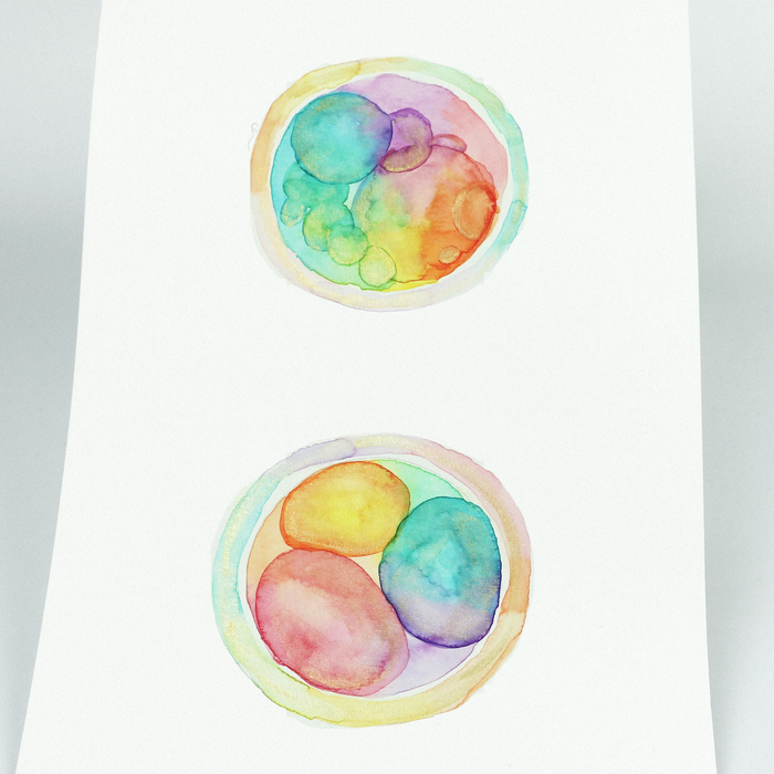 Double Embryo Art