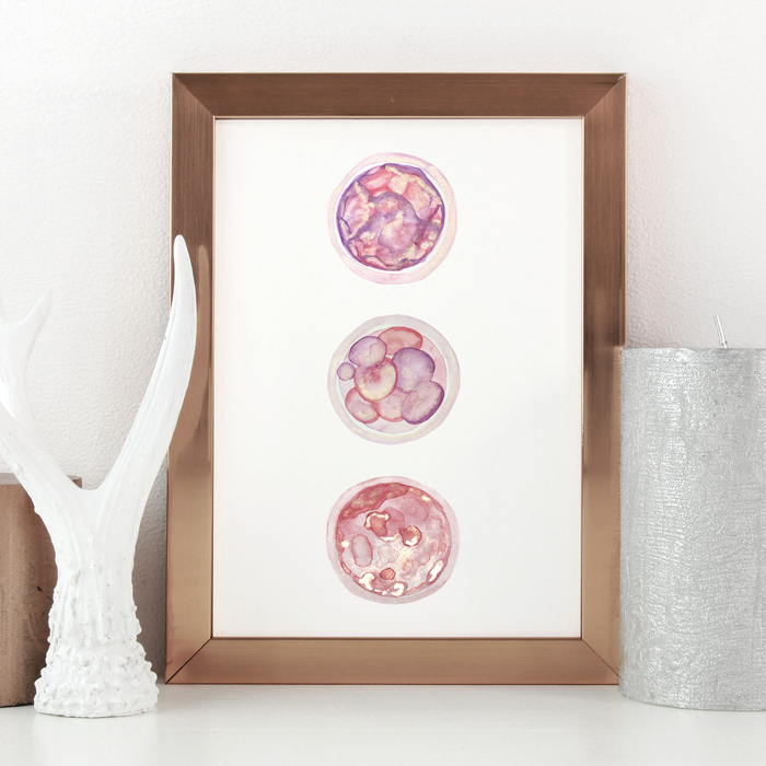 Triple Embryo Art